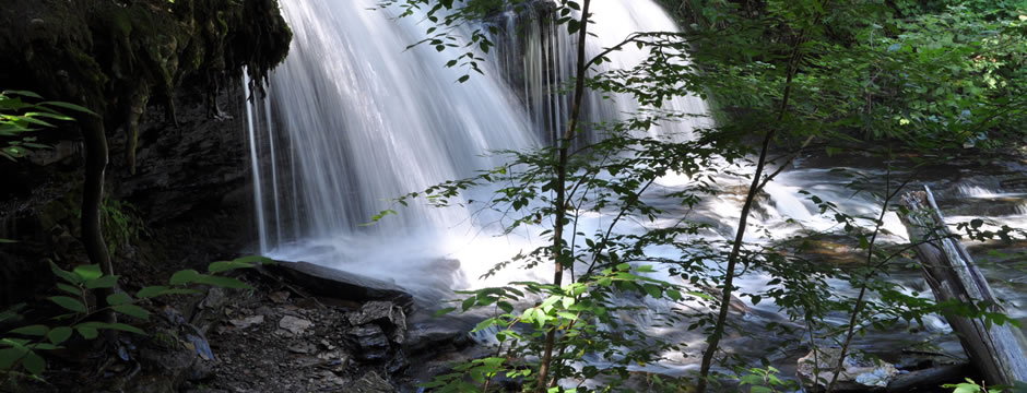电话轰在线轰炸免费